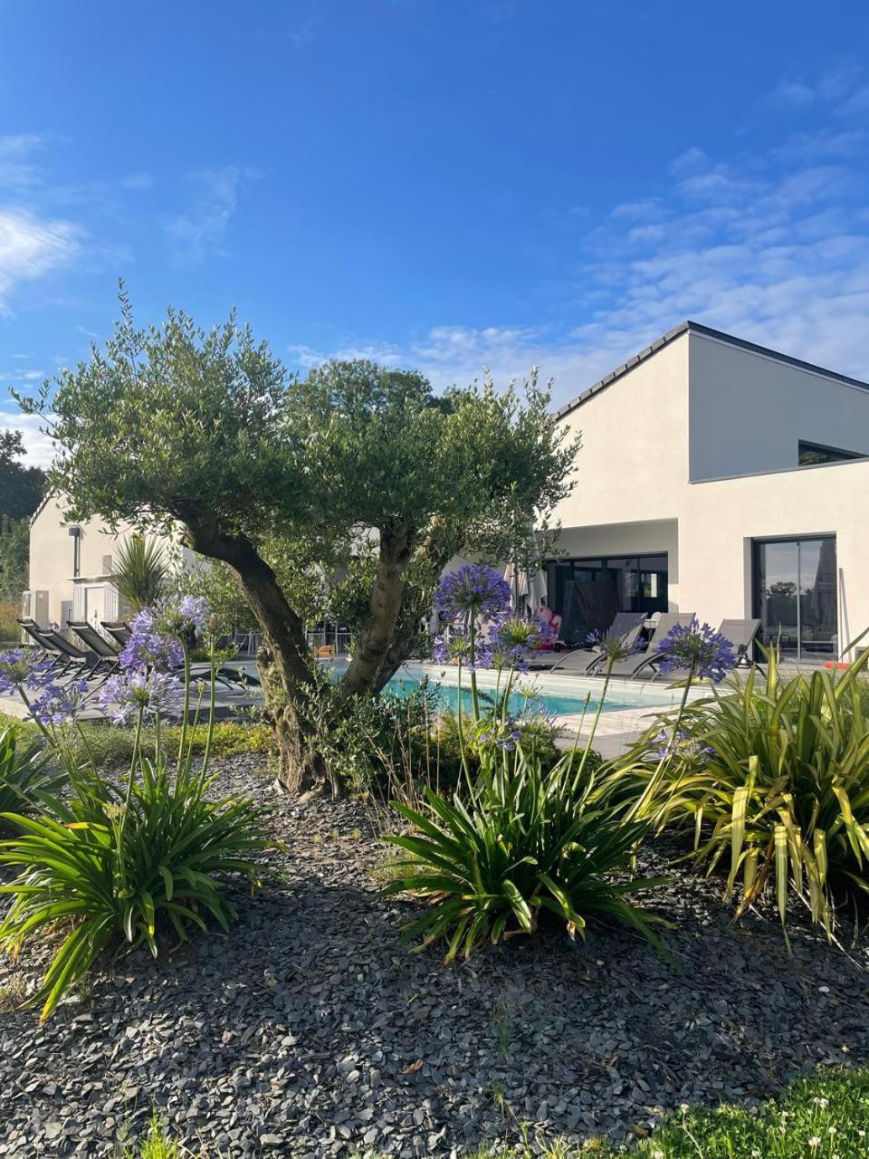 Villa De Groupe Avec Piscine, Jacuzzi Et Vue Nature Pierric Extérieur photo
